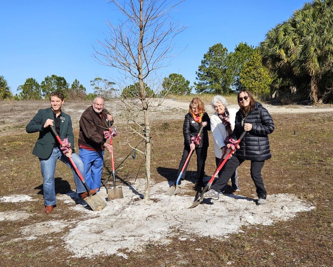 Pictured from left for the ceremonial planting of the bald cypress are Destin Mayor Bobby Wagner, Lee Vanderpool, Destin Garden Club President Anne Collins, Okaloosa County Commissioner Carolyn Ketchel and Cindy Dohner.