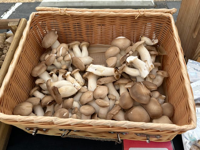 One of the vendors at the market was all about mushrooms.