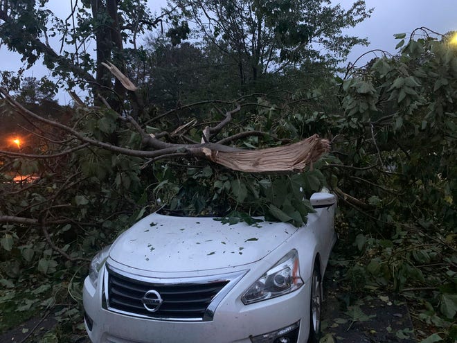 A toppled tree lays on top of a car in Talladega, Ala., on Thursday, Oct. 29, 2020, as Tropical Storm Zeta sped across the Southeast.  (Cameron Keith via AP)