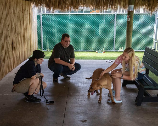 Chris Cormier (c) and his daughter Vanessa (r), 14, spend some time with a dog named Cookie inside the Palm Beach County Animal Care and Control shelter to see if it might be a good fit for their family, May 22, 2023.