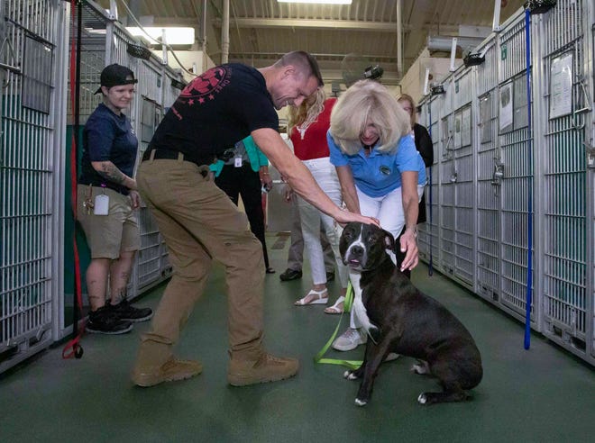 Ryan Onda (l), President/CEO and Trainer, Semper Fi Service Dogs, and Palm Beach County Commissioner Maria Sachs (r), get to pet Bean while touring the Palm Beach County Animal Care and Control shelter May 22, 2023. Bean, who entered Animal Care and Control on April 22, is a neutered male, approximately 2 years old, who loves to give kisses and is good about not jumping on you.