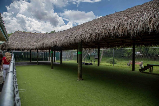 A portion of the play group area at the Palm Beach County Animal Care and Control shelter where every dog receives an opportunity to come out and play every day, May 22, 2023.